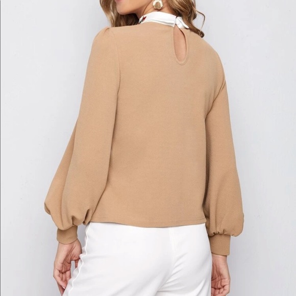 Embroidered collar lantern sleeve blouse - Picture 10 of 15